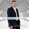 Llegaste Tu - Single