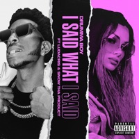 I Said What I Said - Single - Drumma Boy, Ludacris & Snow Tha Product