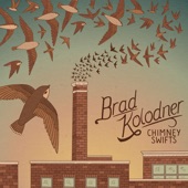 Brad Kolodner - Chimney Swifts