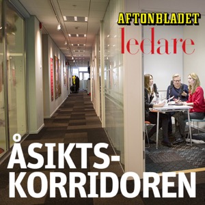 Åsiktskorridoren