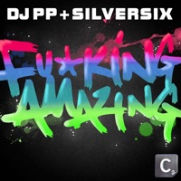 DJ PP & Silversix - F*Cking Amazing!