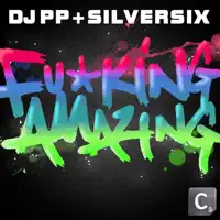 F*Cking Amazing! — DJ PP & Silversix