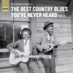Rough Guide to the Best Country Blues You've Never Heard, Vol. 2