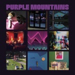 Purple Mountains - Snow is Falling in Manhattan