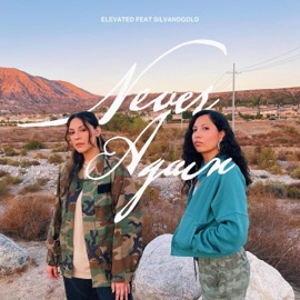 Never Again (feat. Silvandgold) Elevated
