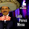 LUIS PEREZ MEZA