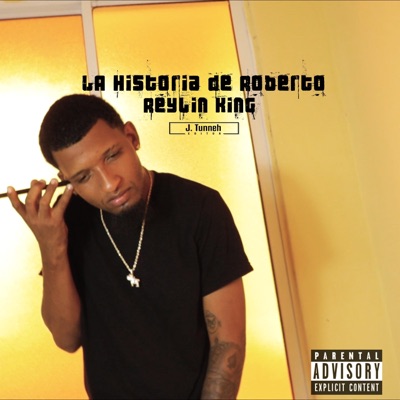 La Historia de Roberto (feat. J. Tunneh) - Single
