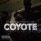 Coyote (feat. NSL) - Mxnxzxs & Hyden lyrics