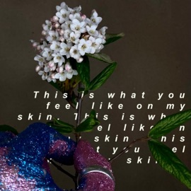 This Is What You Feel Like On My Skin. Ansr
