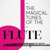Pierre Notte Flute Concerto in G Minor, RV 439 "La notte": I. Largo The Magical Tunes of the Flute