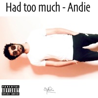 Had Too Much - Single - Assasinandie