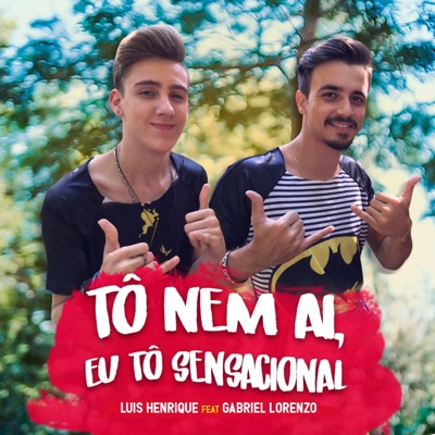 Tô Nem Aí, Eu Tô Sensacional (feat. Gabriel Lorenzo) - Single