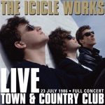 The Icicle Works - Birds Fly (Live Town & Country Club)
