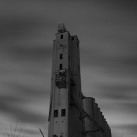 Rinderpest - Young Seagull