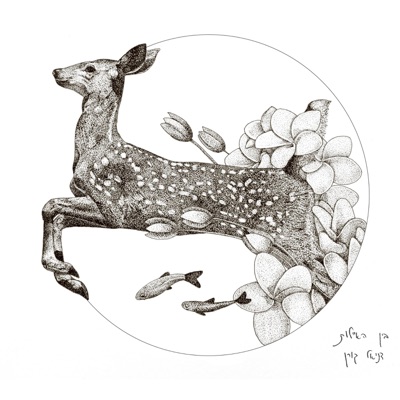 בין האיילות