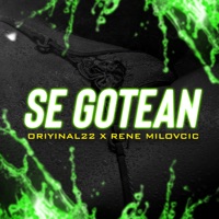 Se Gotean (feat. Rene Milovcic) - Single - Oriyinal22