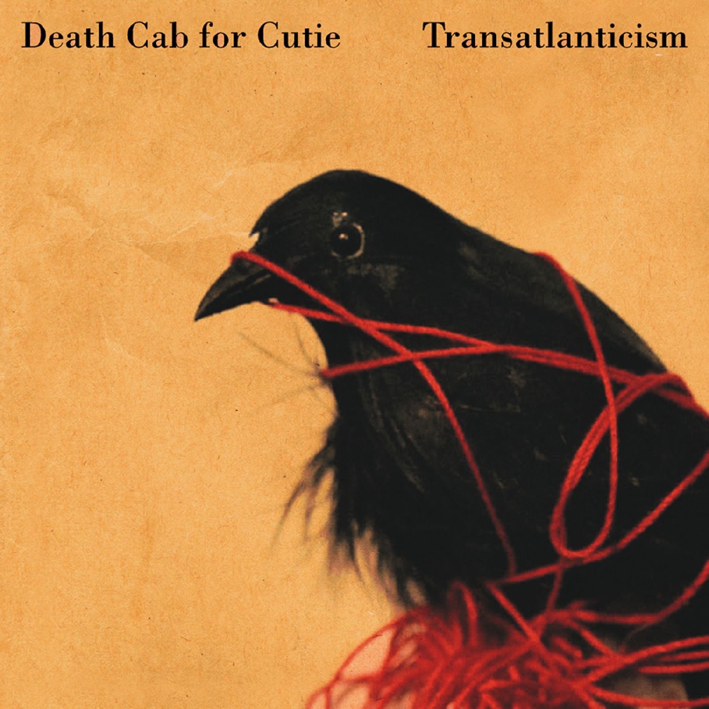 Transatlanticism by Death Cab for Cutie, Transatlanticism