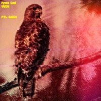 ATL Ballin - Single - Apex God