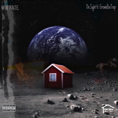 On Sight (feat. GrownBoiTrap) - Single