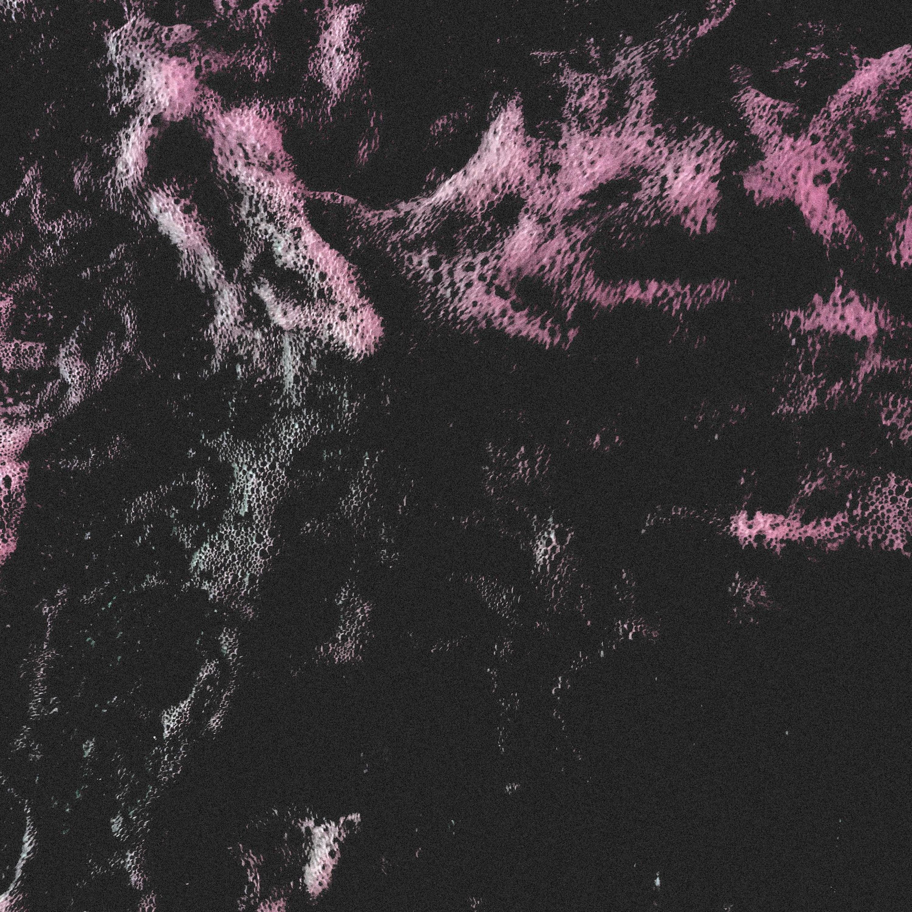 A Thousand Days - Single