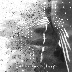 Shamanic Trip: Third Eye & Chakra Healing Meditation