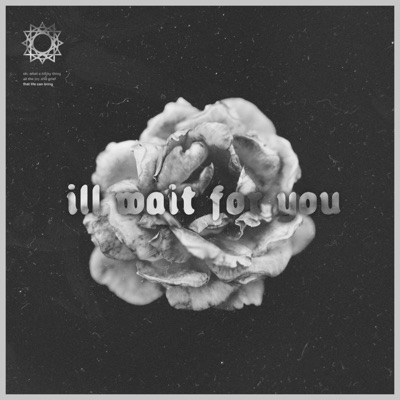 I'll Wait For You (Unplugged) - Single