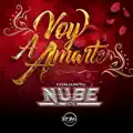 Voy A Amarte