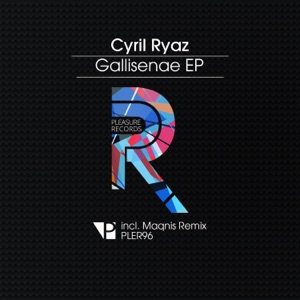 Gallisenae - Single