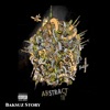 Baksuz Story - Single