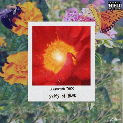 Running Thru Skies of Blue - Single