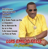 LUIS EMILIO FELIZ  TRAICIONERA