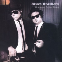 Briefcase Full of Blues - The Blues Brothers