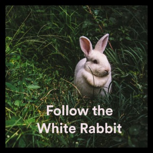 Follow the White Rabbit