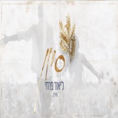 סיון artwork