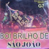 Boi Brilho de São João 2