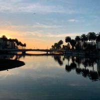 Bag (feat. Brokeboirichie, emirsito & Yamanas) - Single - Sp4cekid