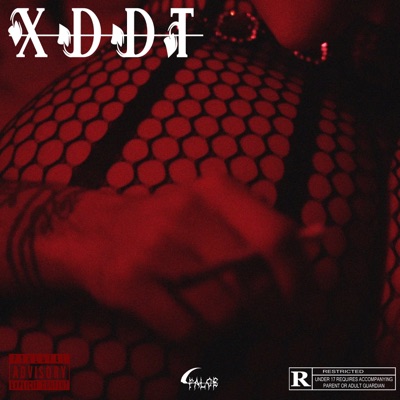 XDDT - Single