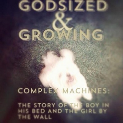 Complex Machines: The Story of the Boy In His Bed and the Girl By the Wall