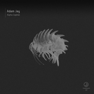 Alpha Cephei - Single