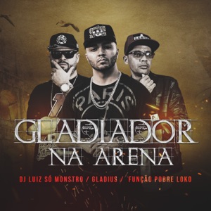 Gladiador na Arena