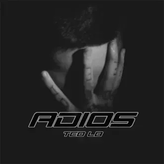 Adiós - Single by Teo LB album reviews, ratings, credits