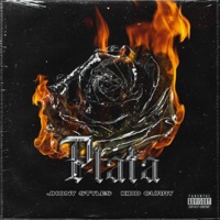 Plata (feat. Kidd Curry) - Single - Jhony Styles