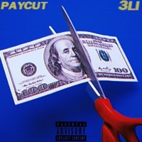 Paycut (Remix) [Remix] - Single - 3LI