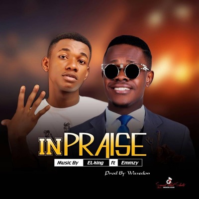 In Praise (feat. Emmzy) - Single