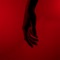 Don't Let Me Go (Enkode Remix) - Rozzen, Wolsh & Enkode lyrics
