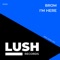 I'm Here (DJ Pencil & the Cut Up Boys Remix) - Brom lyrics