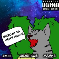 Выходи за меня нахуй (feat. Эм.И & Зеленков) - Single - Мамка