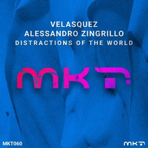 Distractions of the World (Radio Edit) - Single
