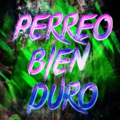 Perreo Bien Duro artwork