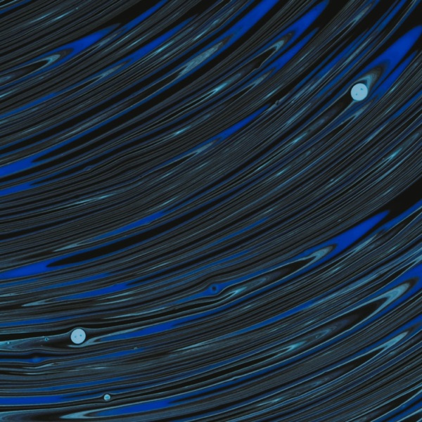 Midnight Elevation